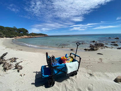 FUXTEC FX-CTB800 Beach Handcart with Sun Canopy & Push Handle